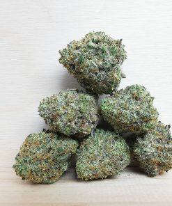 AAA+ Monkey Balls Med.