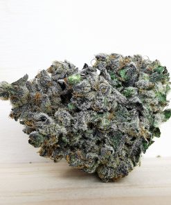 Kootenayz Exoticz's AAAA Jerry Can