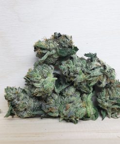 AAA+ Hindu Kush Smalls