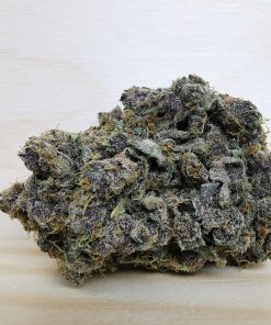 Kootenayz Exoticz's AAAA+ Triceratops