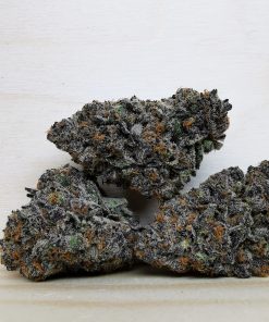 Island Exclusive’s AAAA+ Deluxe Sherbet