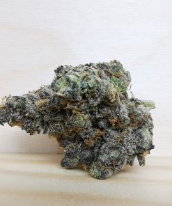 Kootenayz Exoticz’s AAAA Cream n Cookies