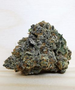 Kootenayz Exoticz's AAAA+ G Wiz