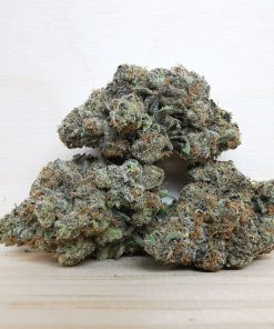 Kootenayz Exoticz's AAAA Sophie's Breath