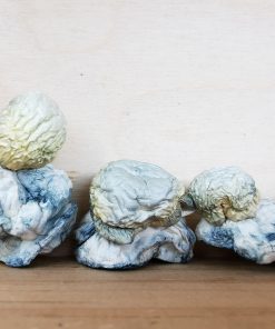 Mountain Resort’s Blue Meanie Magic Mushroom