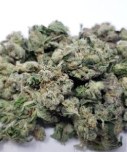 Jet Fuel Gelato Smalls