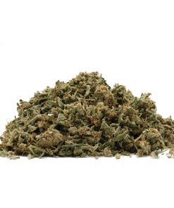 Orange Cookies Hand Trim