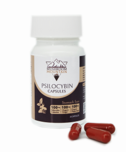 Mushroom Mt's STOMACH EASE Psilocybin Pills 100mg
