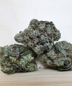 AAA+ Cookies Gary Payton