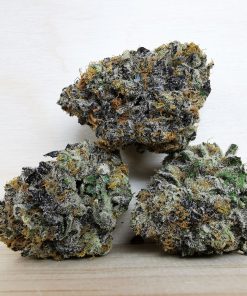 Kootenayz Exoticz's AAAA+ Peaches and Cream