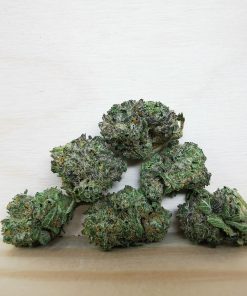 AAA+ Mendo Cookies Smalls