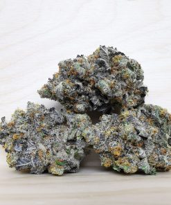 Kootenayz Exoticz's AAAA+ High School Sweetheart