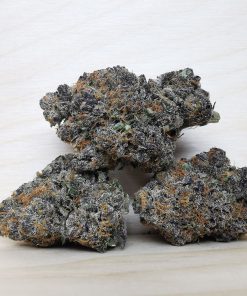 AAAA+ Tropical Punch