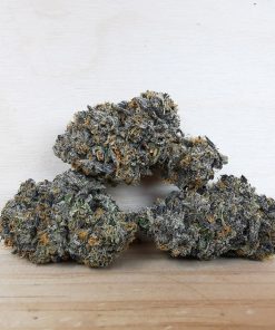 Kootenayz Exoticz's AAAA+ Sequoia Sherbet